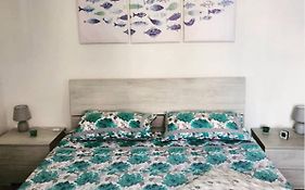 The Beach House